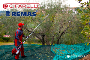 Cifarelli SC 605 EUR5 Teleskopik Zeytin Badem Silkme Meyve Hasat Makinası