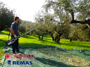 Cifarelli SC 605 EUR5 Teleskopik Zeytin Badem Silkme Meyve Hasat Makinası