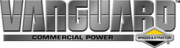 Vanguard RVG 13000 TS Trifaze Marşlı 13 kVA Benzinli Jeneratör
