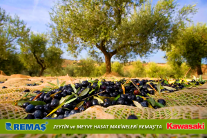 Kawasaki Tekna Vibrotek TK 5000 K Teleskopik Zeytin Badem Silkme Meyve Hasat Makinesi