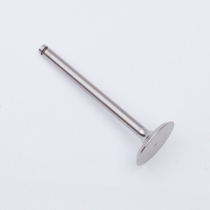 Subap Emme ANTOR 3LD450 - 3LD510 Dizel Motorlar