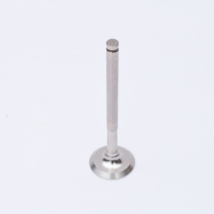 Subap Egzoz ANTOR 3LD450 - 3LD510 Dizel Motorlar