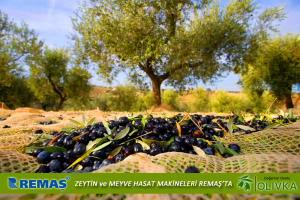 Olivka OLV 3600 Teleskopik Zeytin Silkme Makinesi