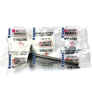 Subap Emme ANTOR 4LD640 - 4LD820 Motor