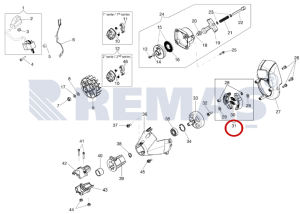 Balata OLEOMAC PPX271 - PPX275 Yüksek Dal Budama Testeresi