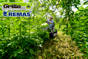 Grillo CLIMBER 9.22 Hidrostatik Briggs Stratton Motorlu Benzinli Çayır Biçme Makinesi