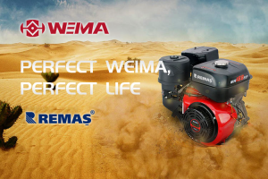 WEIMA WM188F-Q 13 HP İpli Kamalı Tip Benzinli Motor
