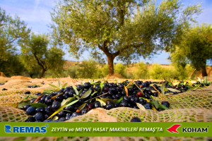 Koham KH-OS18-43250A Zeytin ve Meyve Hasat Makinesi