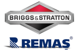 Briggs & Stratton 750 DOV Dikey Milli Benzinli Motor