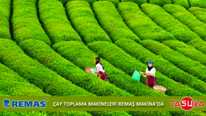 Tasuka TS-55TP Akülü Şarjlı Sepetli Çay Toplama Makinası