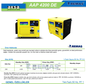 Aksa AAP 4200 DE Marşlı 4.5 kVA Kabinli Dizel Jeneratör